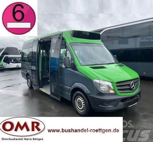 Mercedes-Benz Sprinter 314 Mobility / 316 / 514 / 516 / Rampe Minibussen